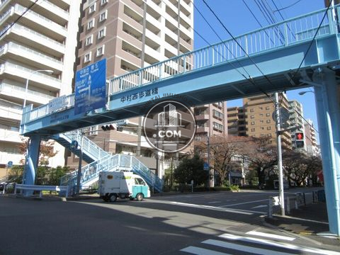 大通り