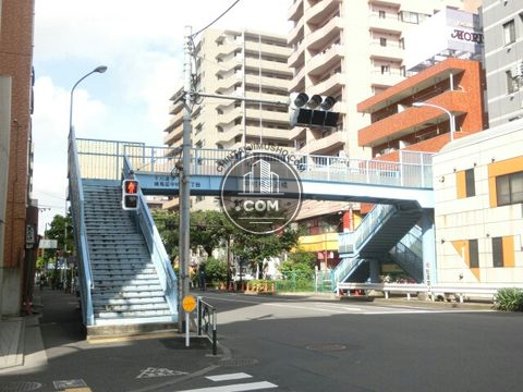 大通り