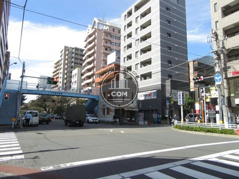 大通り