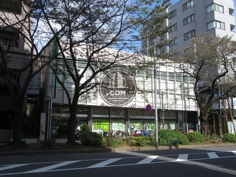 大通り