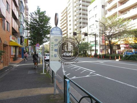 大通り