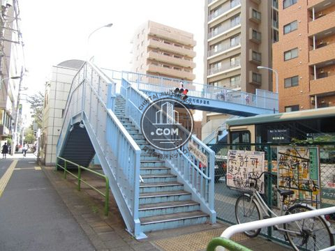 大通り