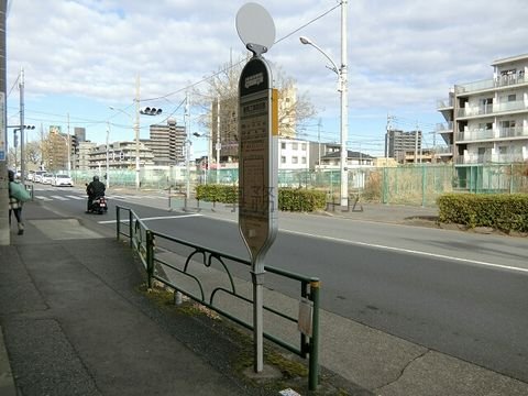 バス停 (練馬工業高校裏)