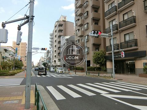 大通り
