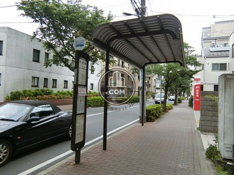 大通り