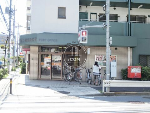 大通り