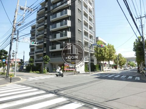 大通り