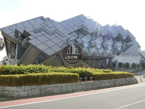 大通り