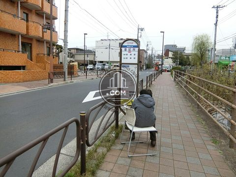 大通り