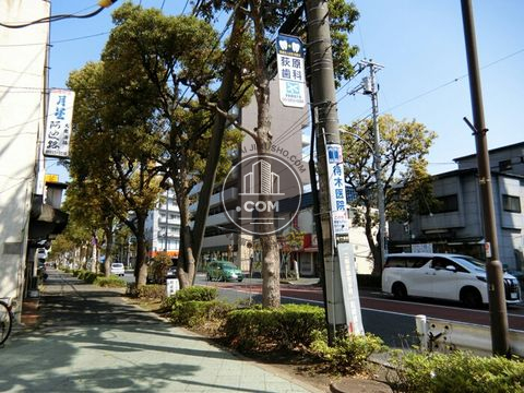 大通り