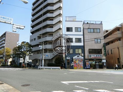 大通り
