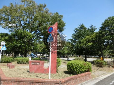 裏路地