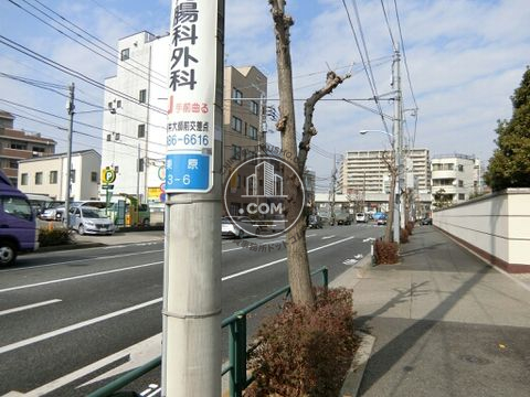 大通り