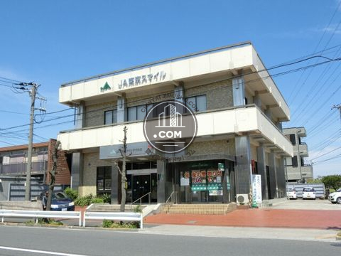大通り