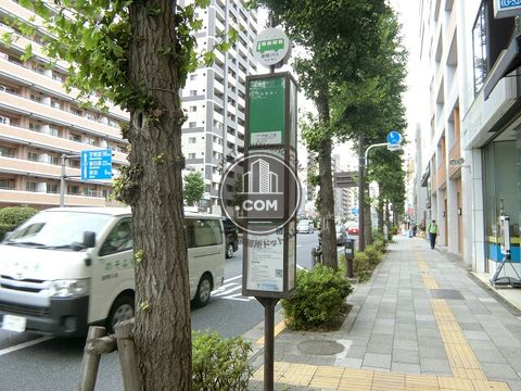 大通り