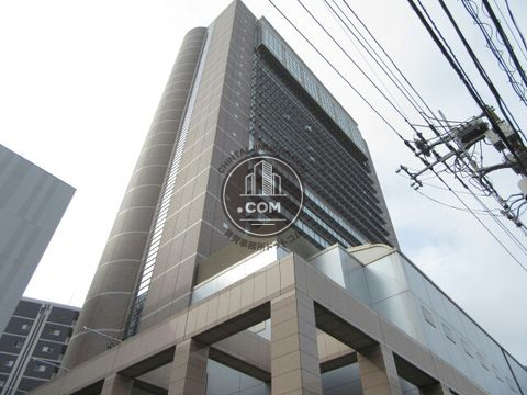 大通り