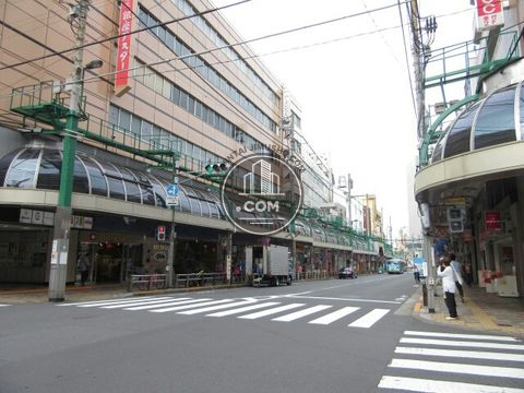大通り
