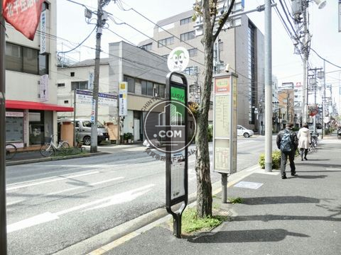 大通り