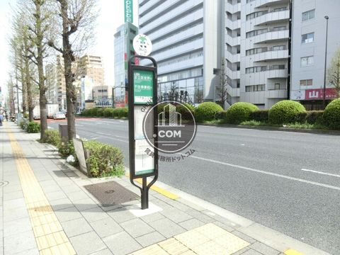 大通り