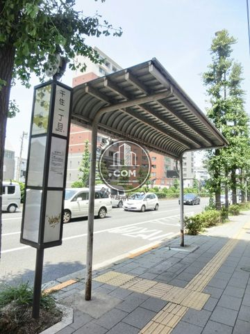 大通り