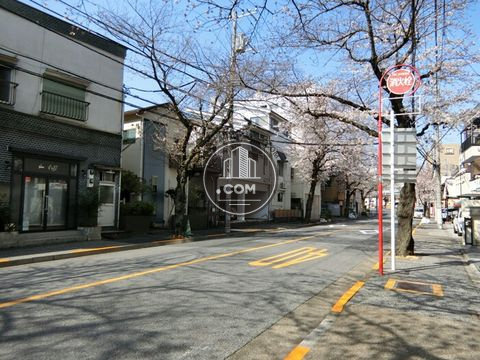 大通り
