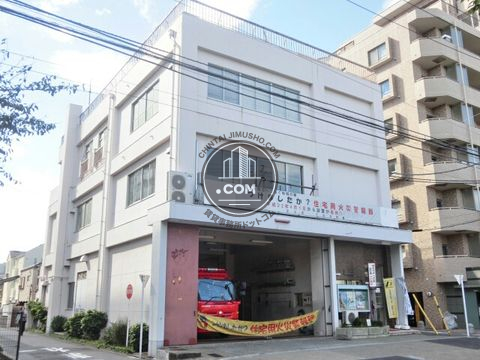 大通り