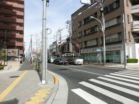 大通り