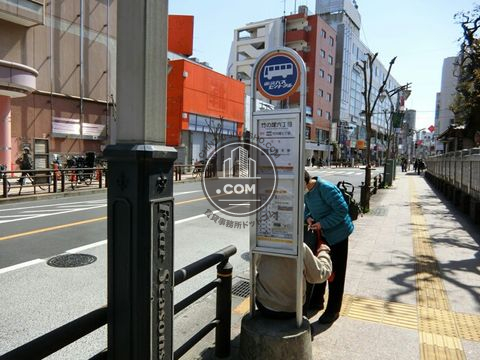 大通り