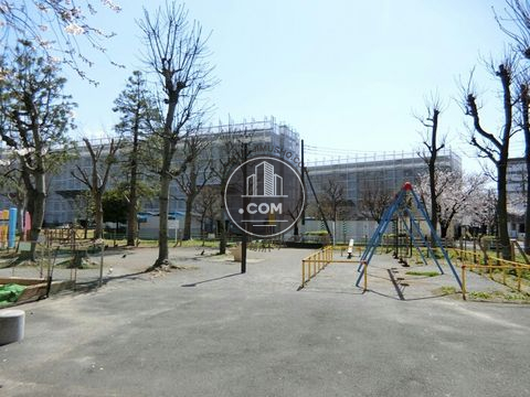 裏路地
