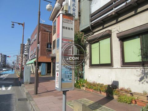 大通り
