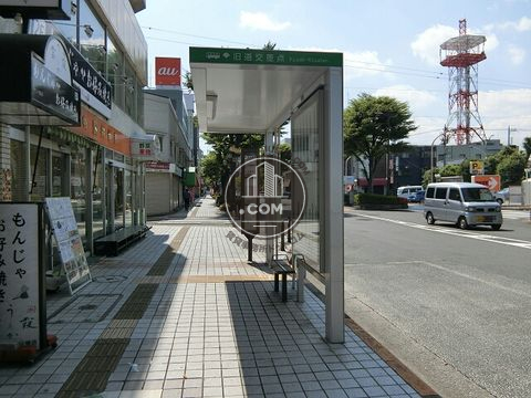 大通り