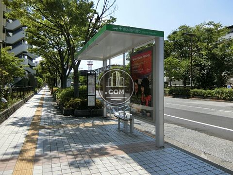 大通り