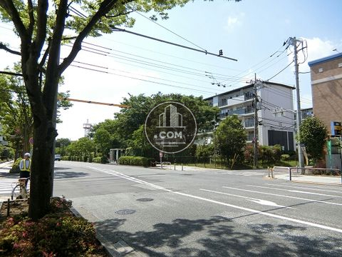 大通り