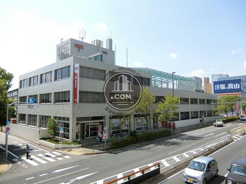 大通り