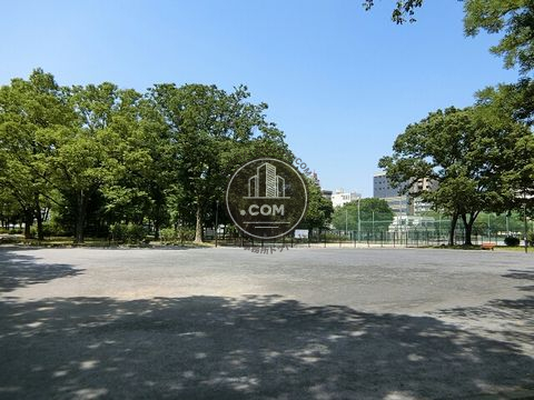 裏路地