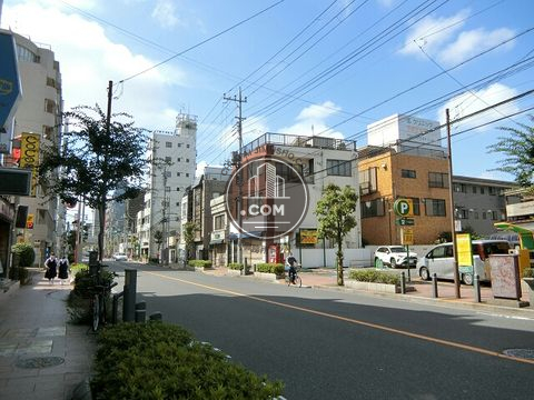 大通り