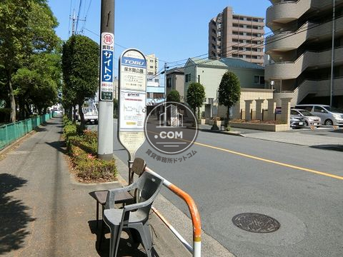 大通り