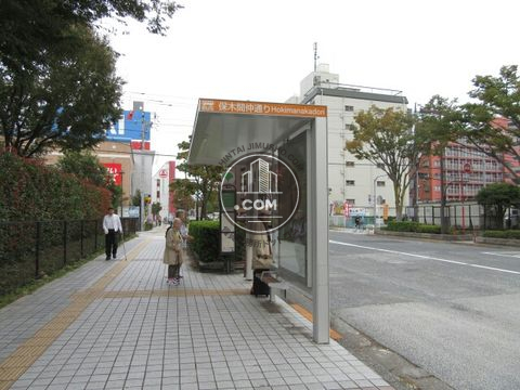 大通り