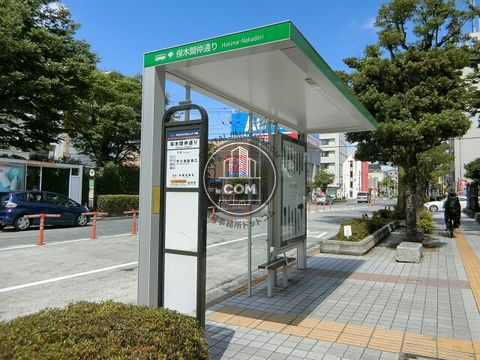 大通り