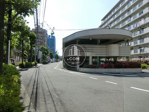 大通り