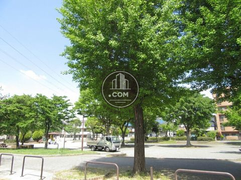 裏路地