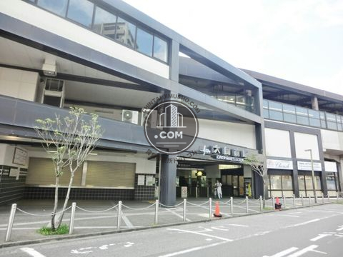 駅周辺
