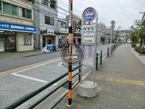 大通り