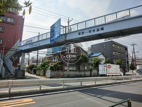 大通り