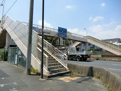 大通り