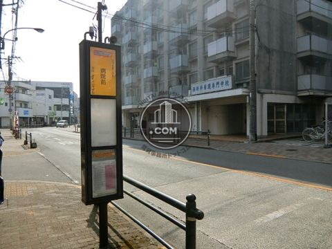 大通り