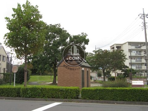 大通り