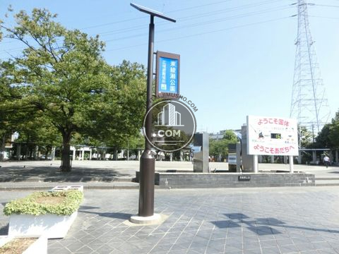 大通り