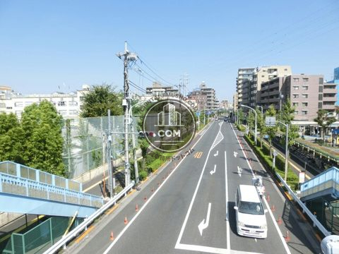 大通り