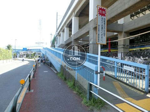 大通り